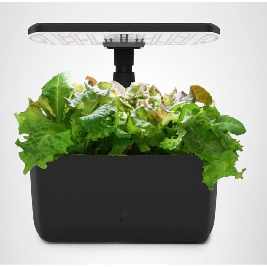 Amazon Holiday Sale Gardening & Lawn Care Deals: Up to 45% off Amazon Holiday Sale Gardening & Lawn Care Deals: Up to 45% off