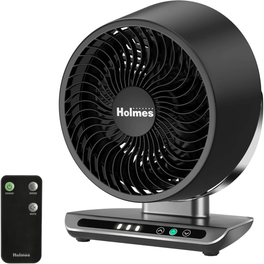 Holmes Blizzard 8" Air Circulator Digital Fan: $25