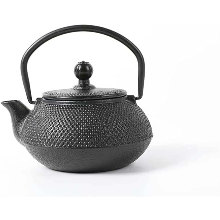 20-oz. Cast Iron Teapot w/ Stainless Steel Infuser: $12