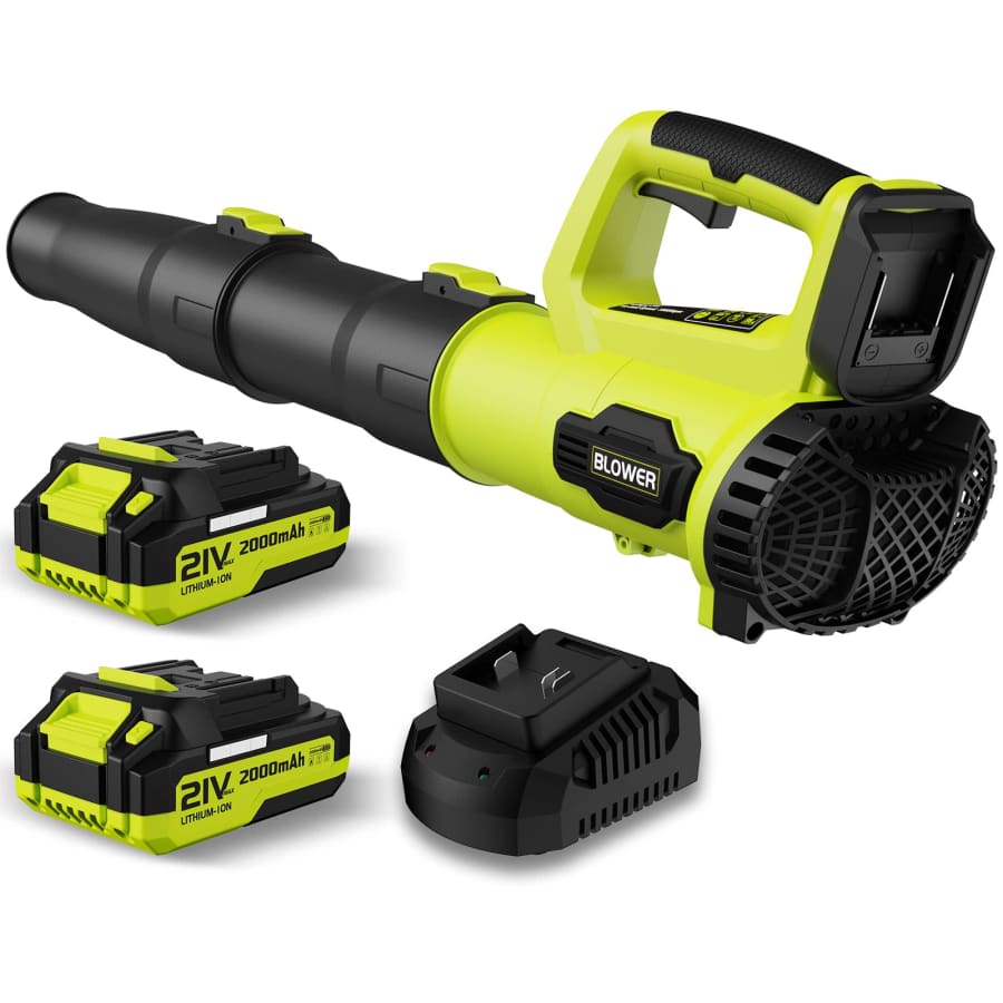 Leaf Blower 21V Cordless with 2 Batteries: $66