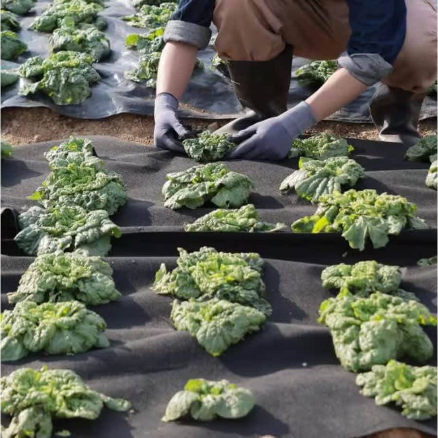 Landscape Fabric Deals at Home Depot: From $24