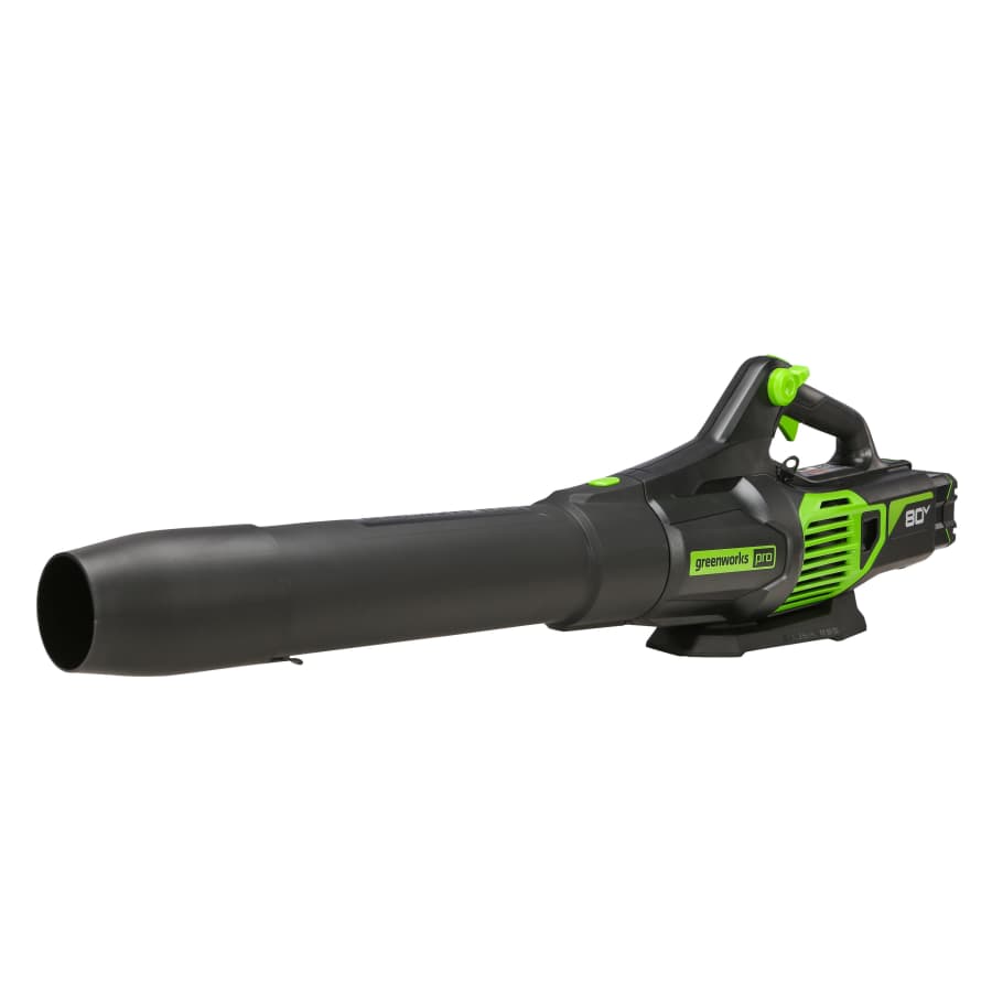 Greenworks Pro 80V Handheld Leaf Blower: $99