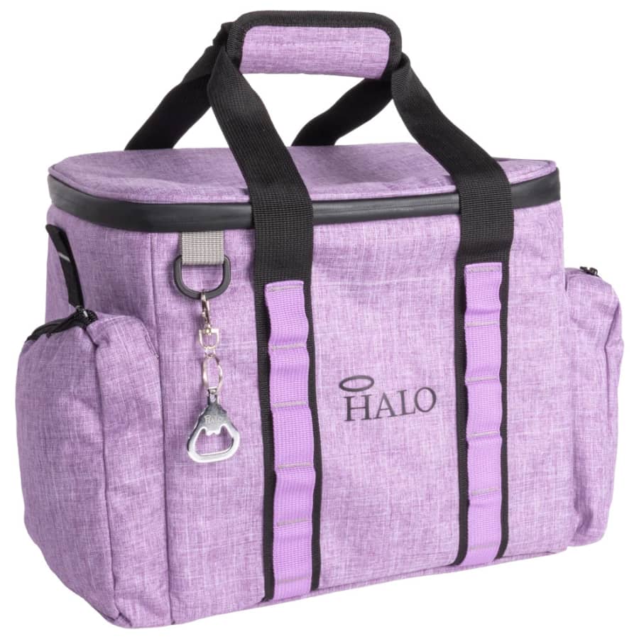 Halo Thermoelectric 15L Hybrid Cooler and Heater Bag: $40
