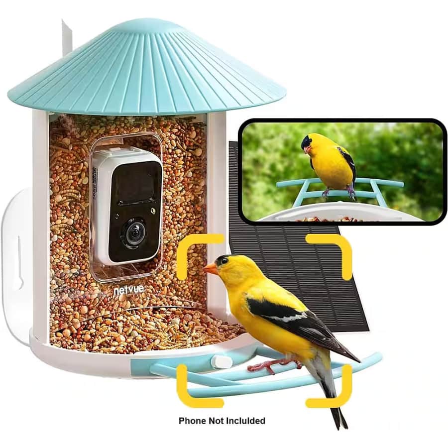 Birdfy Smart Solar Powered Wild Bird Feeder w/ Camera: $170 Birdfy Smart Solar Powered Wild Bird Feeder w/ Camera: $170
