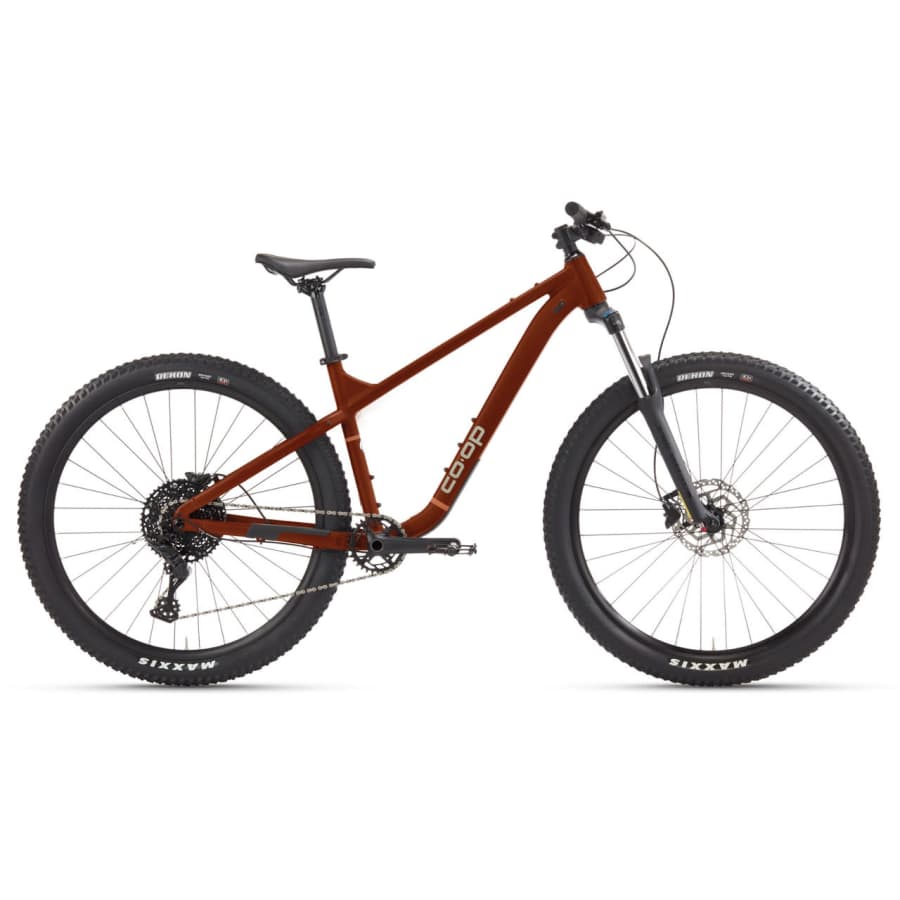 REI Labor Day Bike Sale: 20% to 40% off