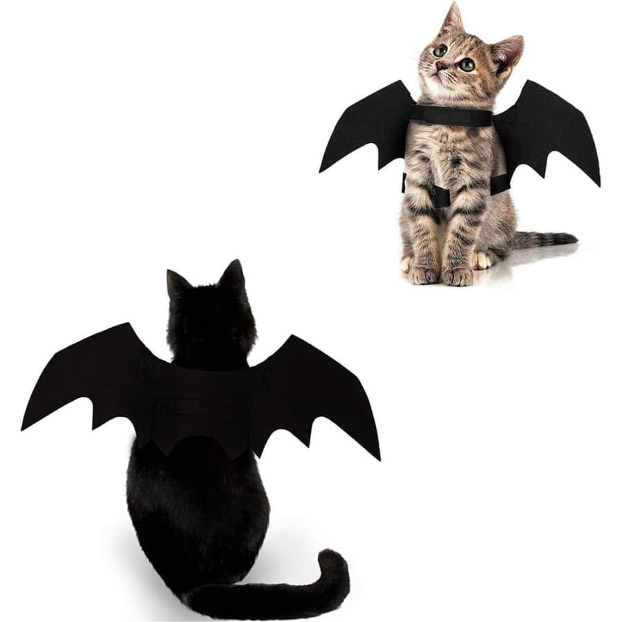 Cat Bat Wings Costume: $5