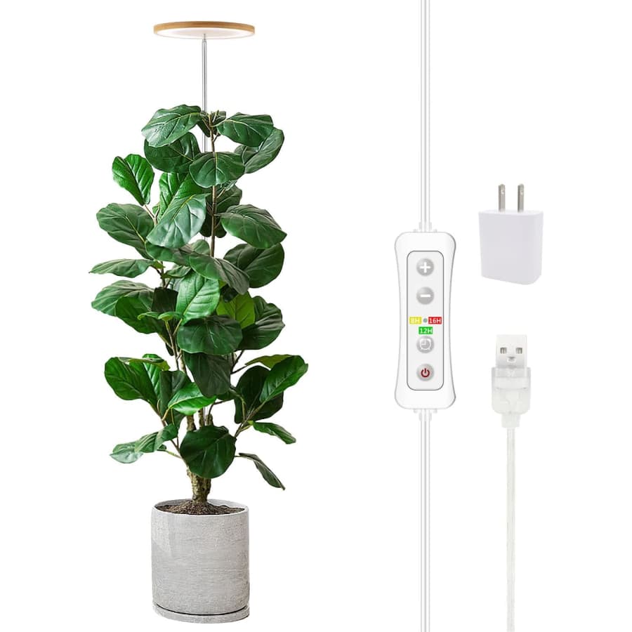 Indoor Plants & Growing Deals at Amazon: Up to 60% off