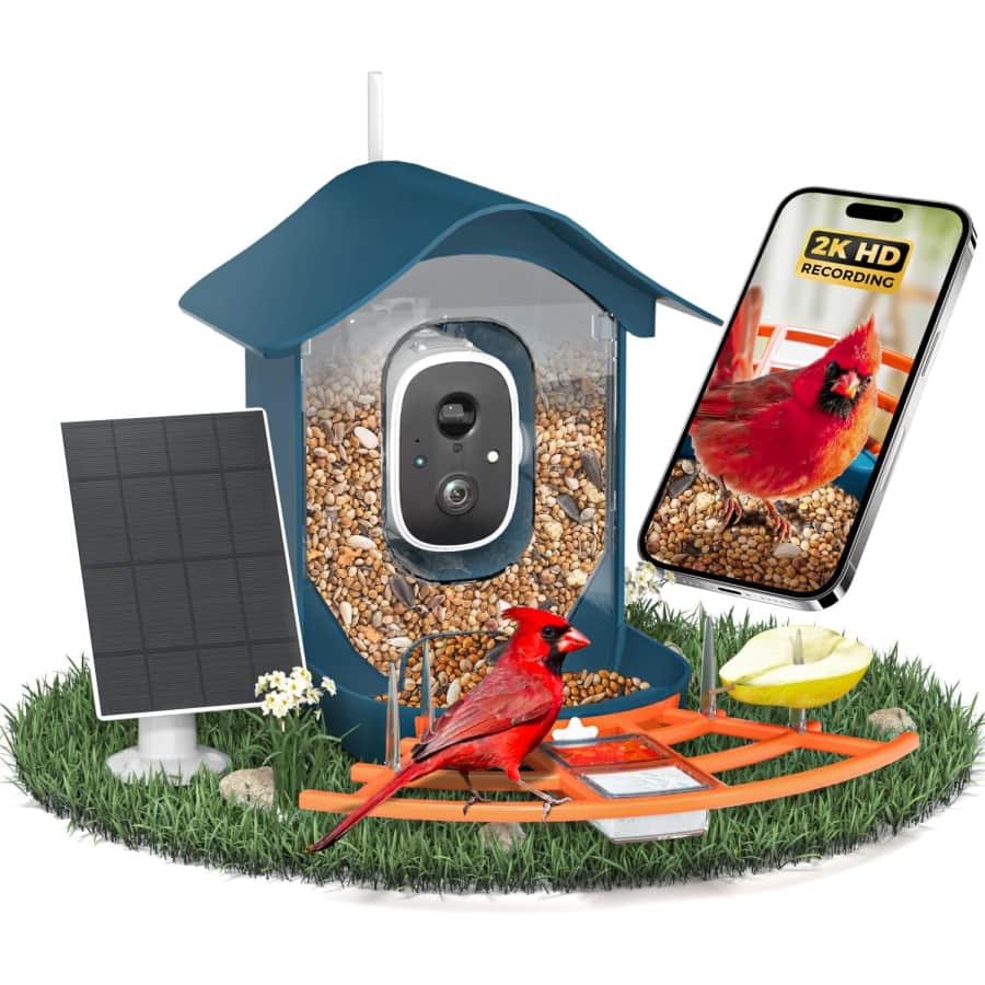 Docoon Smart Bird Feeder with 2K Camera: $29.99 Docoon Smart Bird Feeder with 2K Camera: $29.99