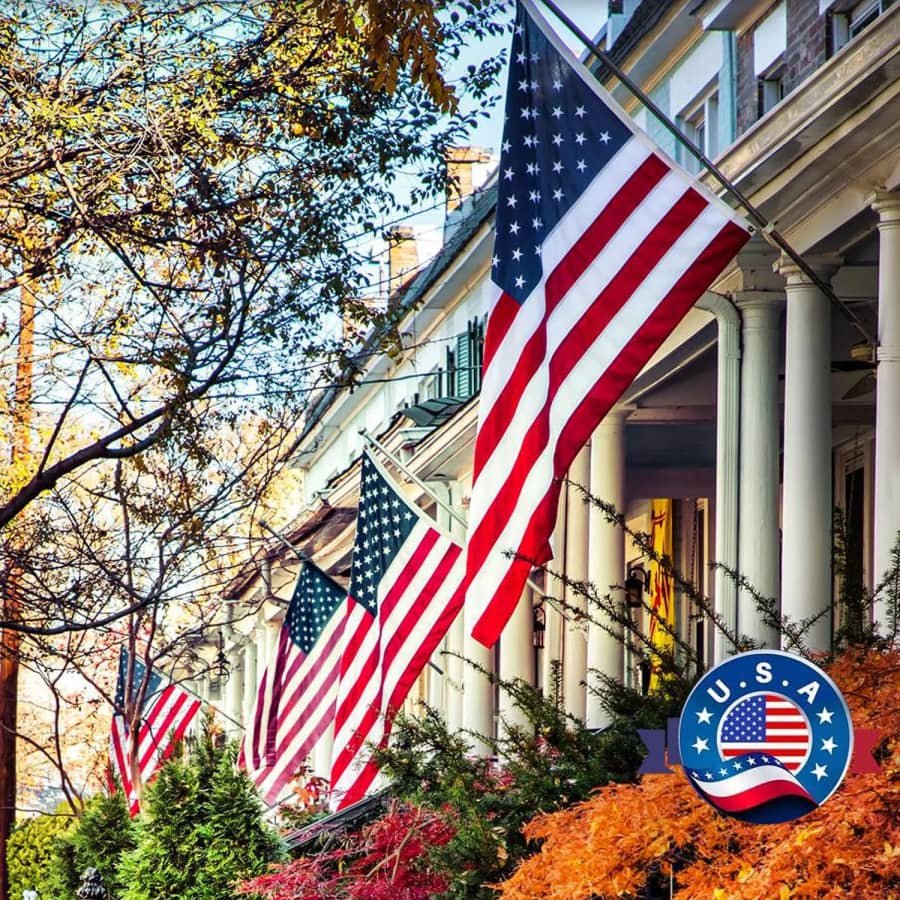 5-ft. x 3-ft. American Flag: $8.99