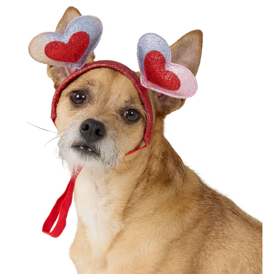 PetSmart Dog Clearance: Up to 60% off + extra 20% off