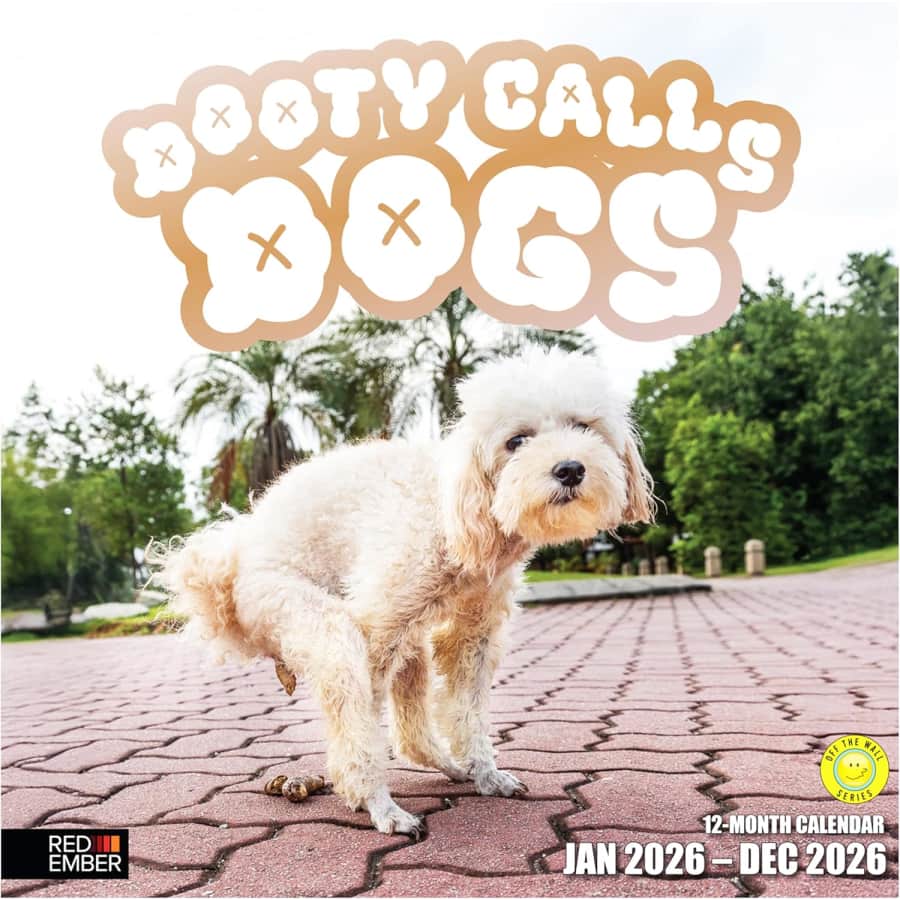 Dooty Calls Dogs 2026 Wall Calendar: $2.99