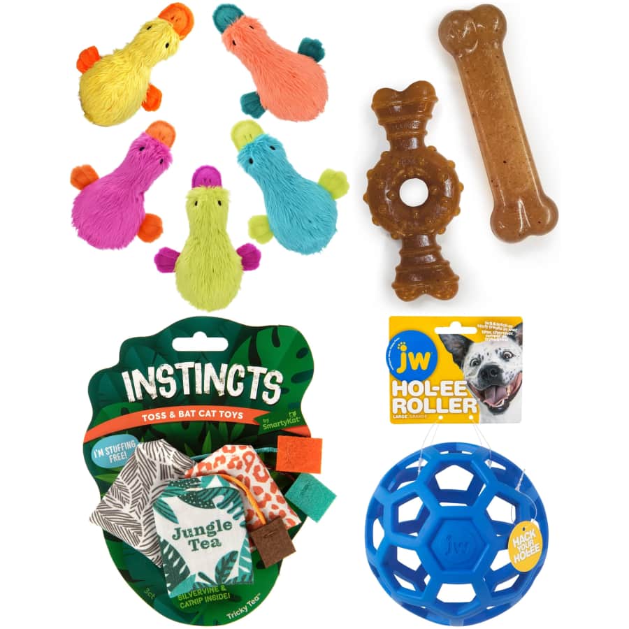 Pet Toys & Treats at Amazon: Buy 3, get 4th free