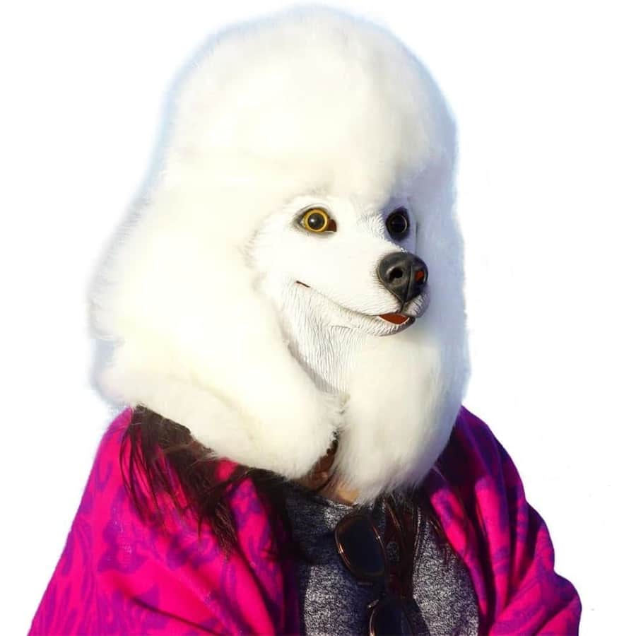Poodle Head Face Costume: $22 Poodle Head Face Costume: $22