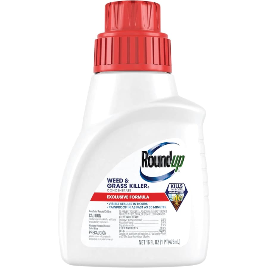 Roundup Weed & Grass Killer Concentrate 16-oz. Bottle: $8.80 w/ Prime