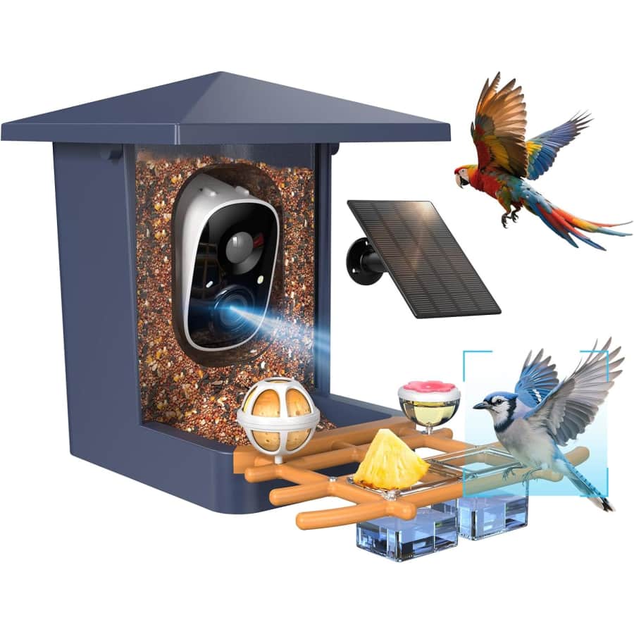 Smart Bird Feeder with 2K Camera and AI Identification: $40