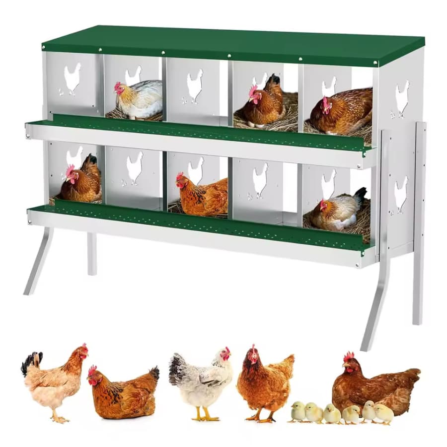 HobbyLane 6-Compartment Chicken Nesting Box: $76.89 HobbyLane 6-Compartment Chicken Nesting Box: $76.89