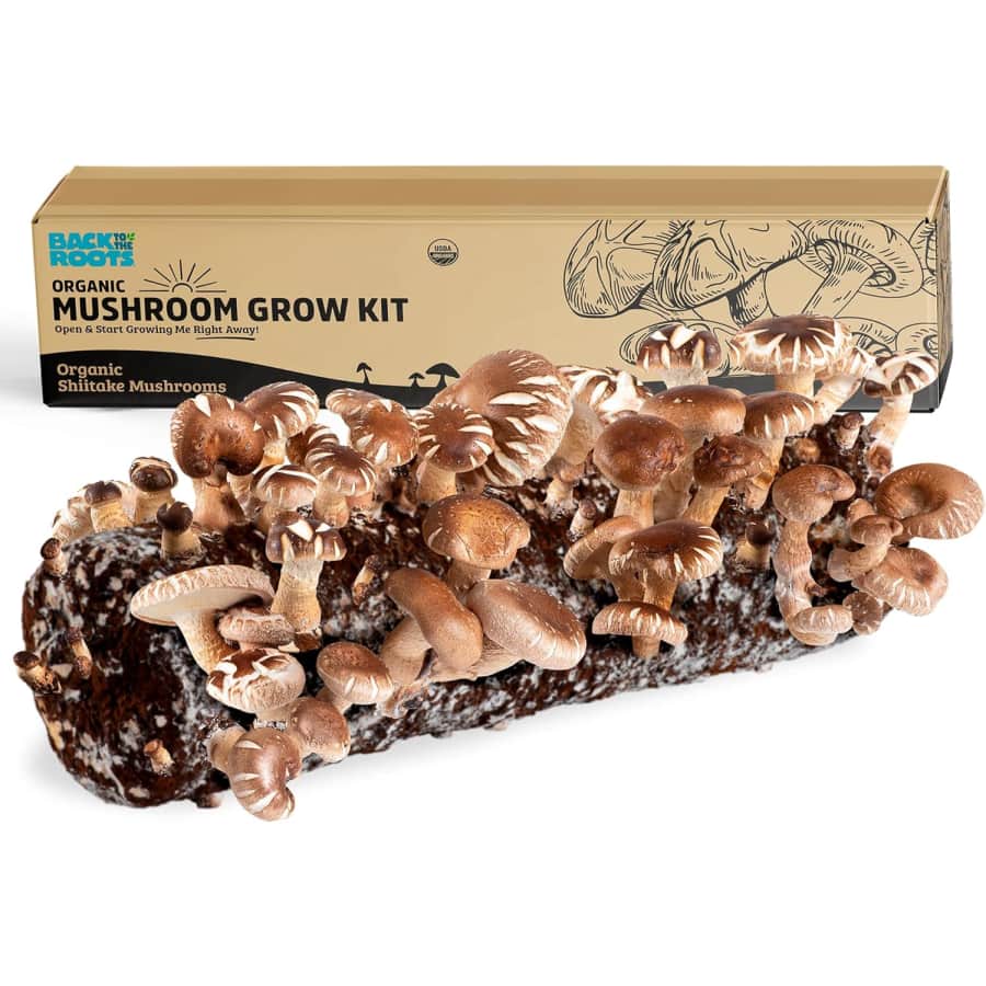 Back to the Roots Mushroom Growing Kits: Up to 21% off Back to the Roots Mushroom Growing Kits: Up to 21% off
