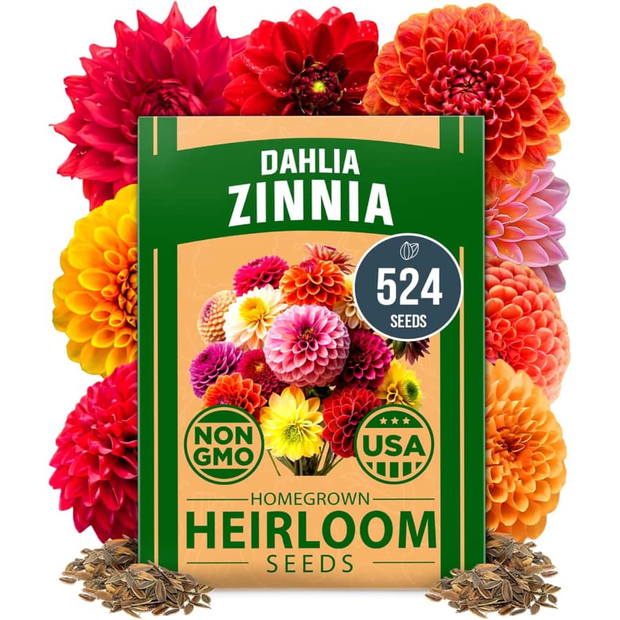 524 Home Grown Zinnia Dahlia Seeds: $5.94 via Sub. & Save