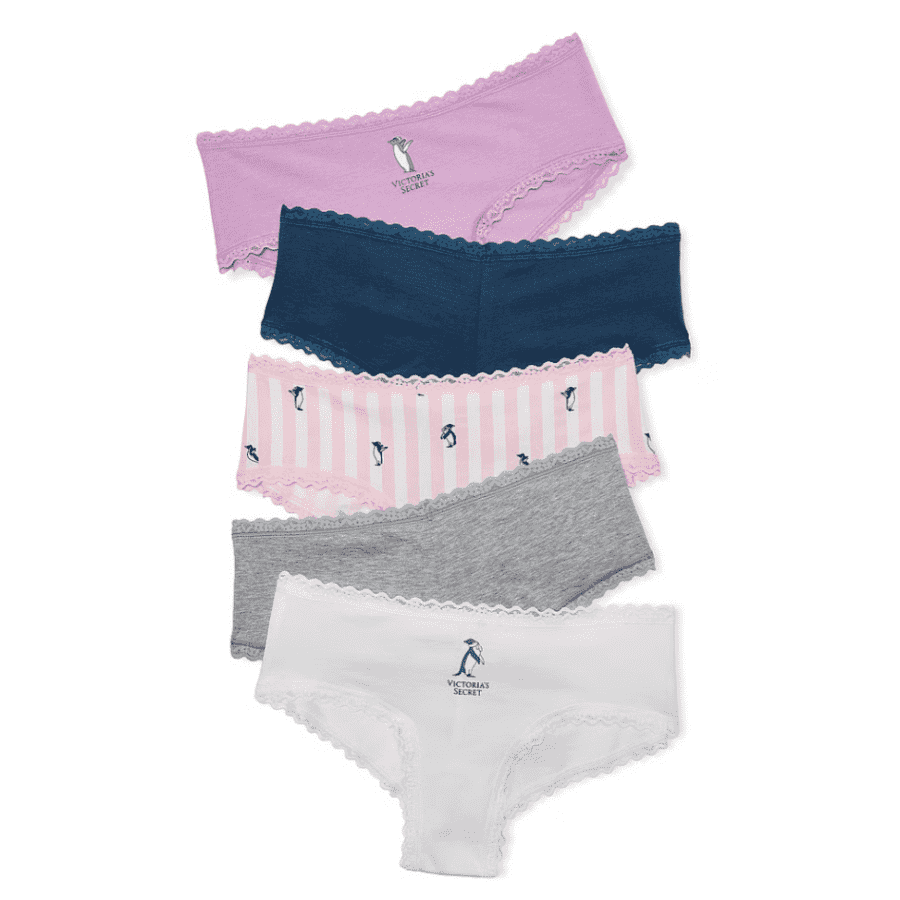 Victoria's Secret Semi-Annual Panty Sale: 5 pairs for $20