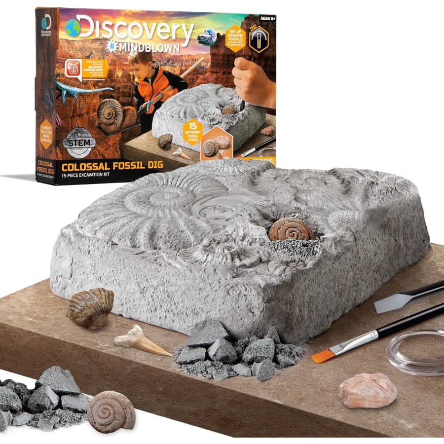 Discovery Mindblown Colossal Fossil Dig 15-Piece Excavation Kit: $8.64 Discovery Mindblown Colossal Fossil Dig 15-Piece Excavation Kit: $8.64