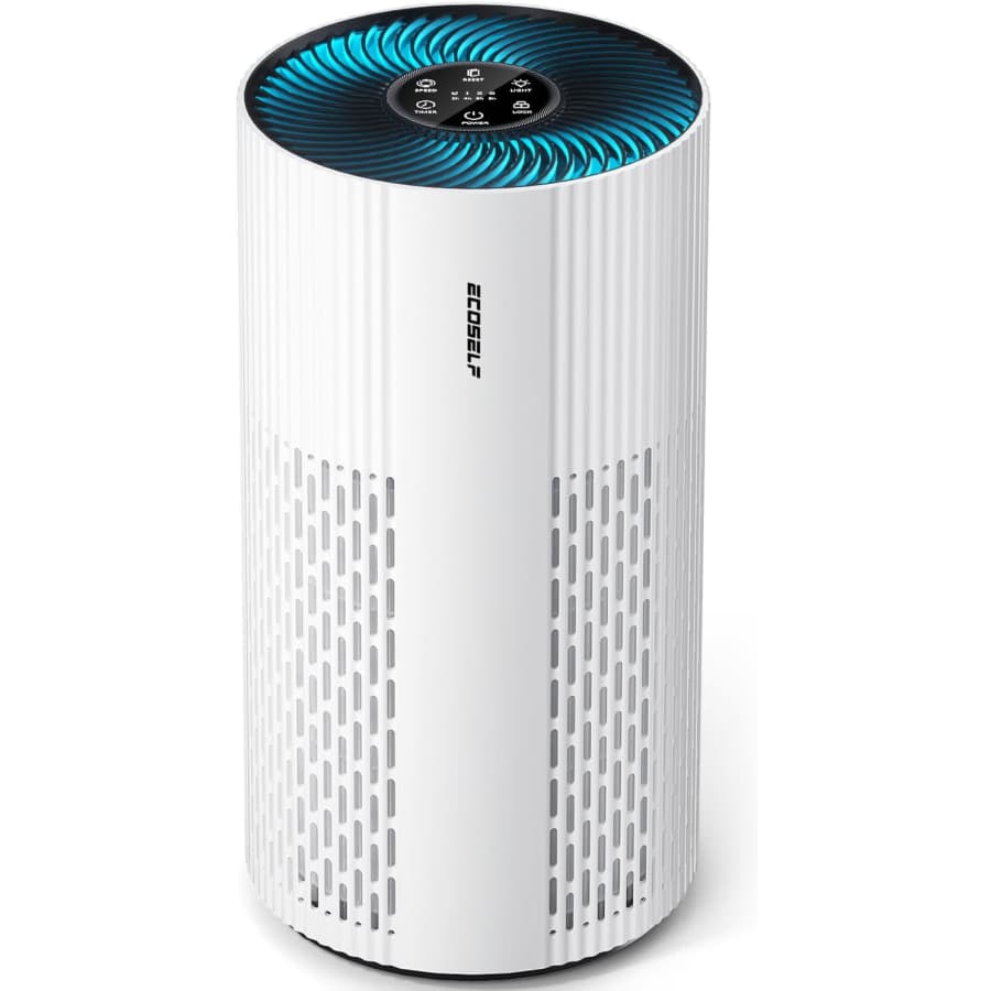 ECOSELF Air Purifiers at Amazon: 70% off