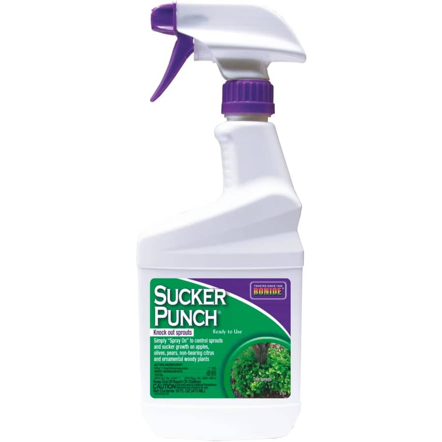 Bonide Sucker Punch 16-oz. Spray: $19 w/ Prime