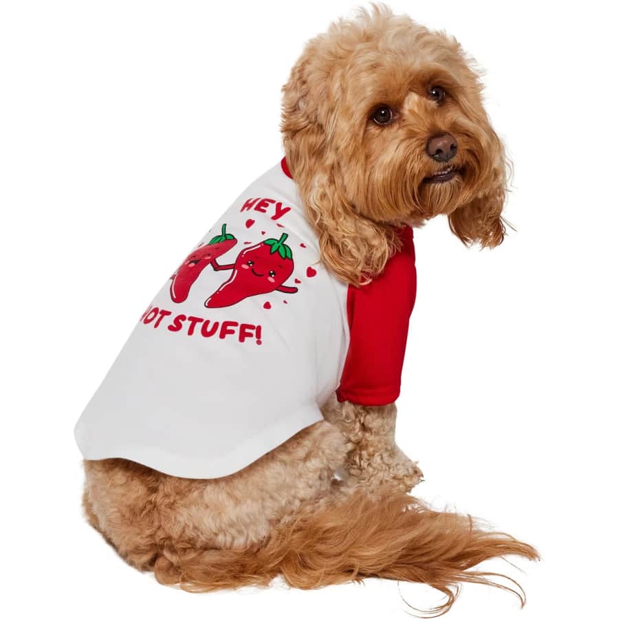 Valentine's Day Dog Gifts at Chewy: Get deals now