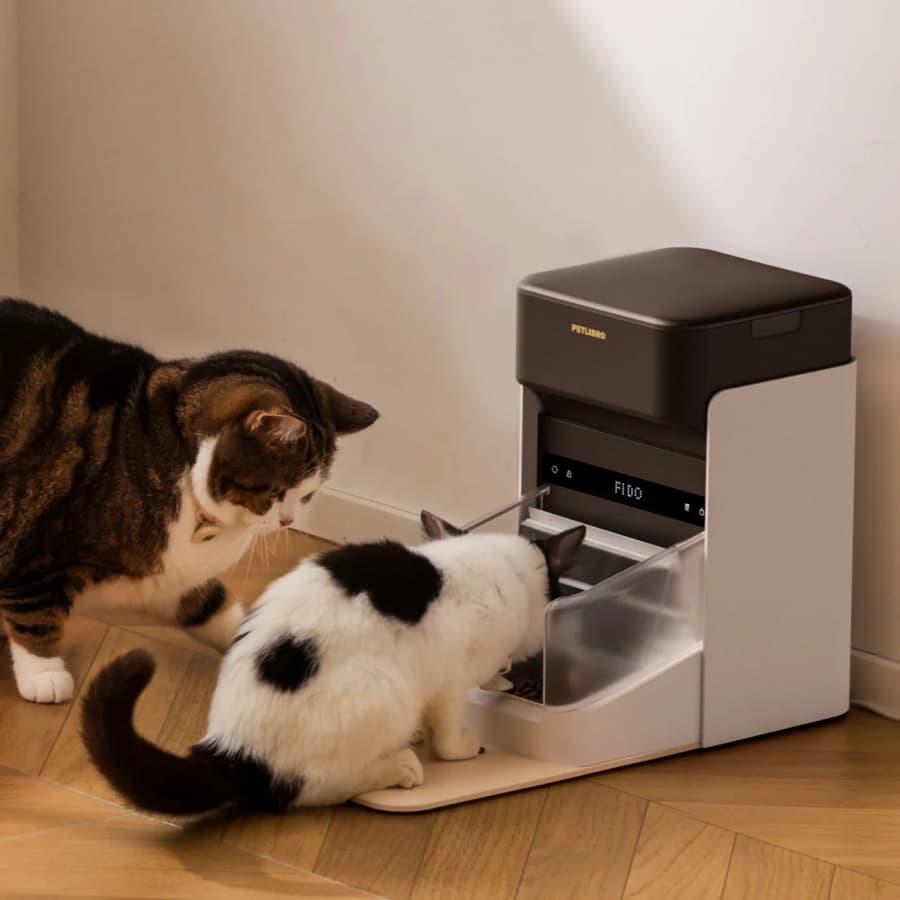 Petlibro Black Friday Sale: Up to 50% off Petlibro Black Friday Sale: Up to 50% off