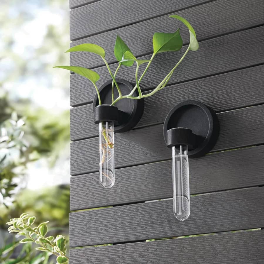 Mainstays Hanging Propagation Station 2-Pack: $4.98 Mainstays Hanging Propagation Station 2-Pack: $4.98