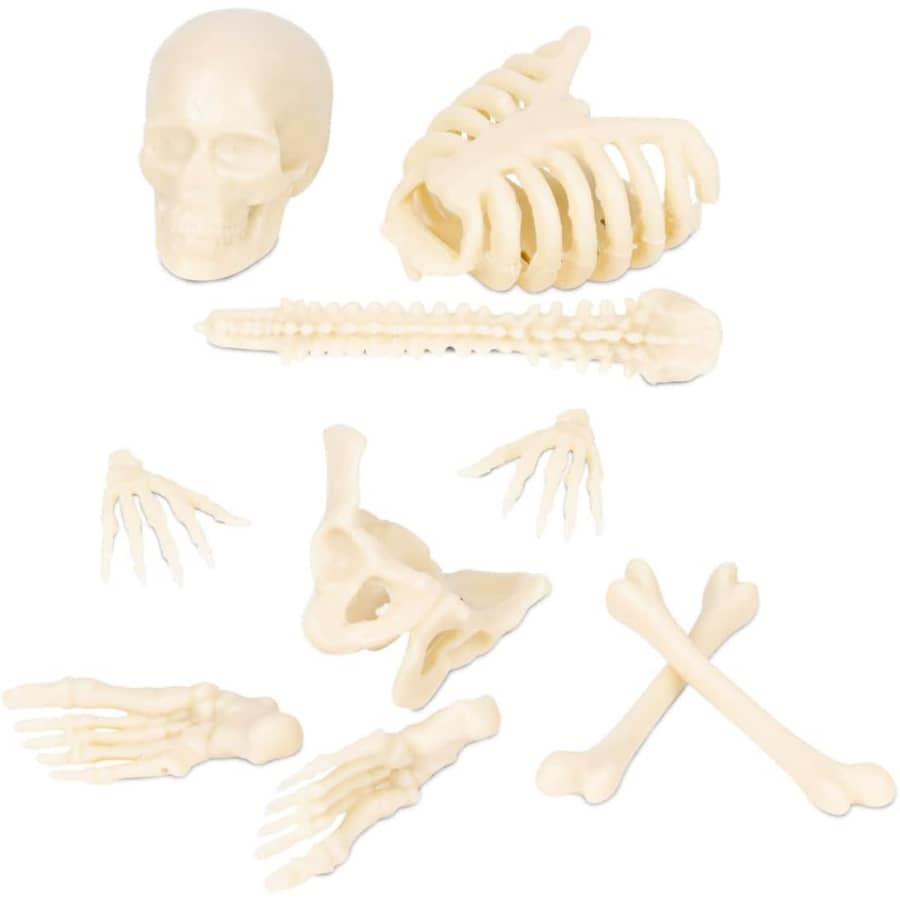 Itty Bitty Bones Glow in The Dark 10-Piece Set: $8.17 Itty Bitty Bones Glow in The Dark 10-Piece Set: $8.17