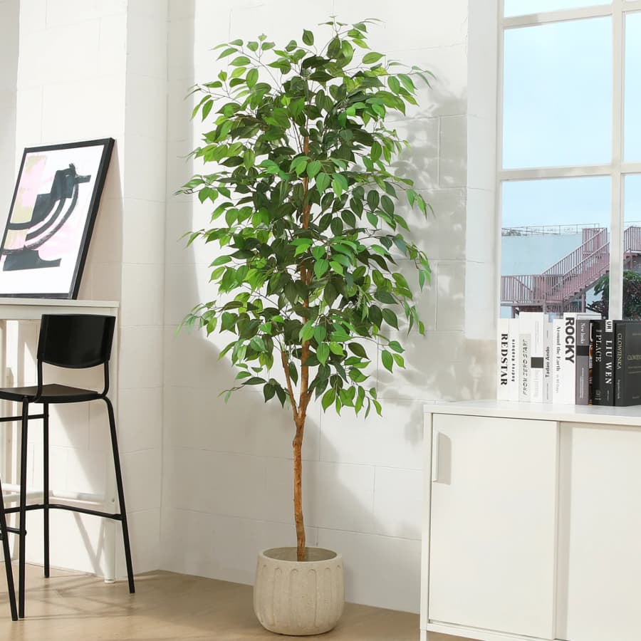 6-Foot Artificial Ficus Tree: $36