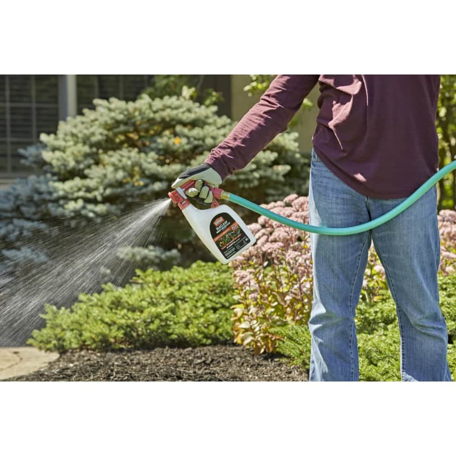 Ortho Pest & Weed Control Deals at Lowe's: Up to 50% off