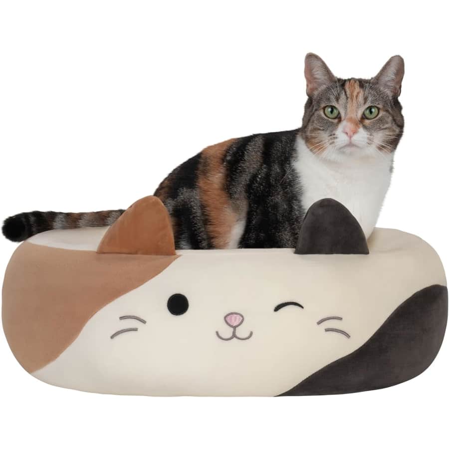 Amazon Cat Week Sale: Spend $60, get $15 Amazon Credit Amazon Cat Week Sale: Spend $60, get $15 Amazon Credit