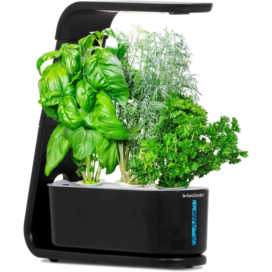 AeroGarden Sprout Countertop Garden: $28