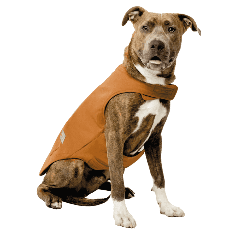 Free Country Brawny Canvas Reversible Dog Work Jacket for $21 Free Country Brawny Canvas Reversible Dog Work Jacket for $21