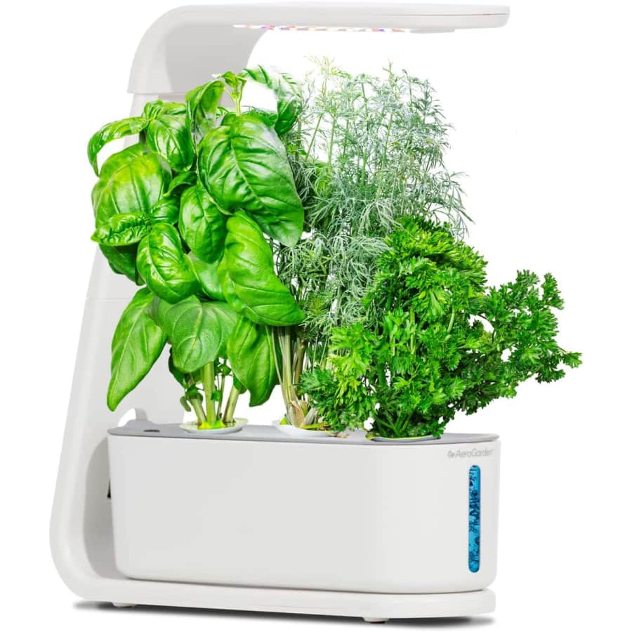 AeroGarden Sprout w/ Gourmet Herbs Seed Pod Kit for $40