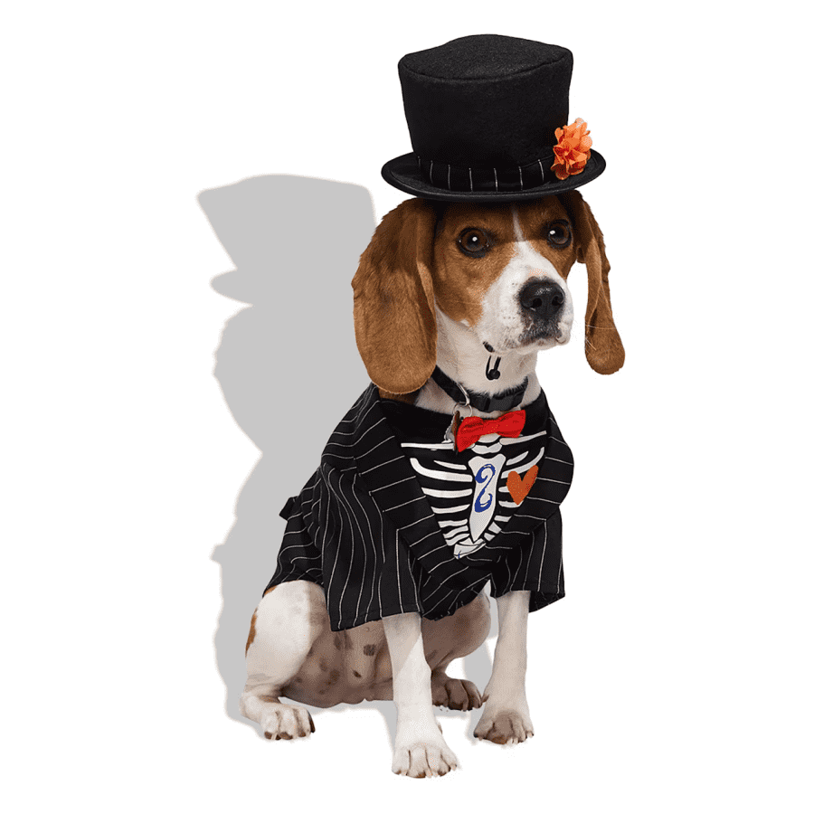 Petco Halloween Costume Sale: 25% off + extra $10 off future spend of $30