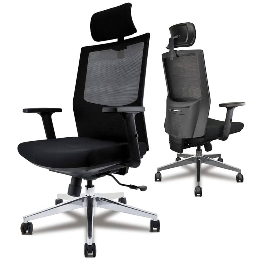 Diouseas Ergonomic Desk Chair for $147 Diouseas Ergonomic Desk Chair for $147