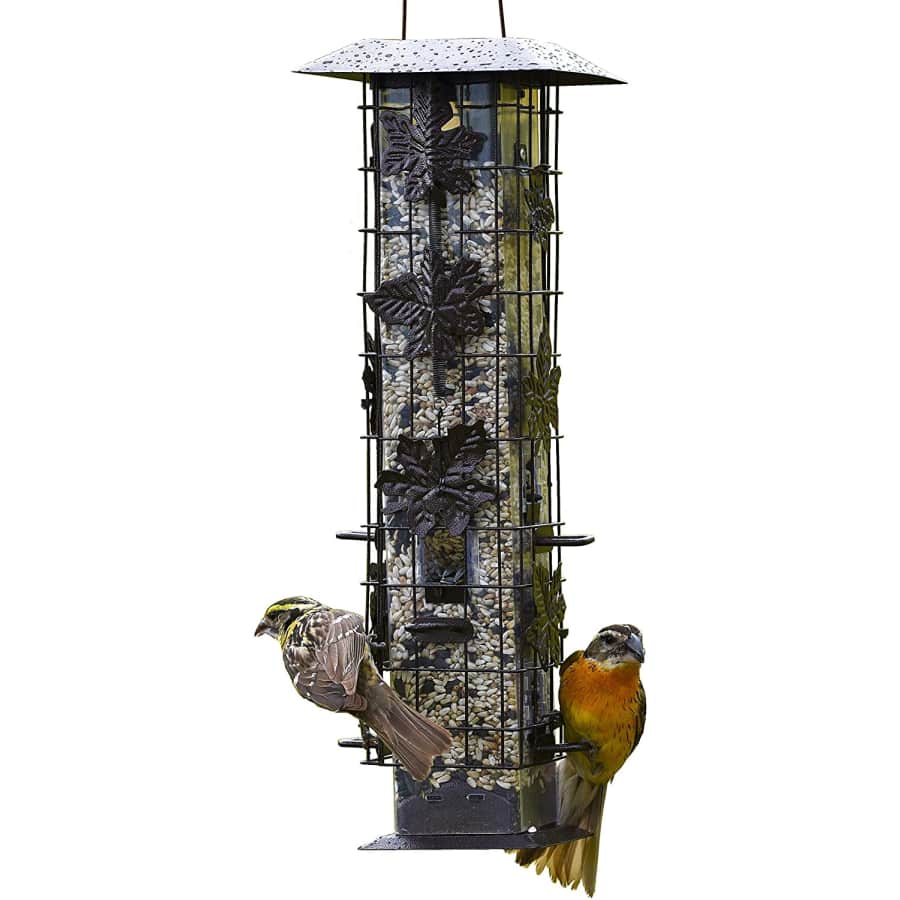 Perky-Pet Squirrel-Be-Gone Wild Bird Feeder for $22