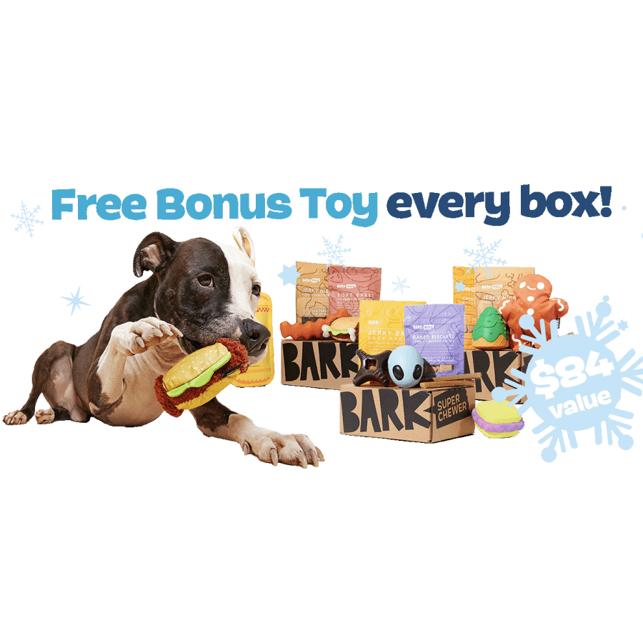BarkBox 6-Month Super Chewer Subscription w/ Extra Toy Per Month: $29/Box