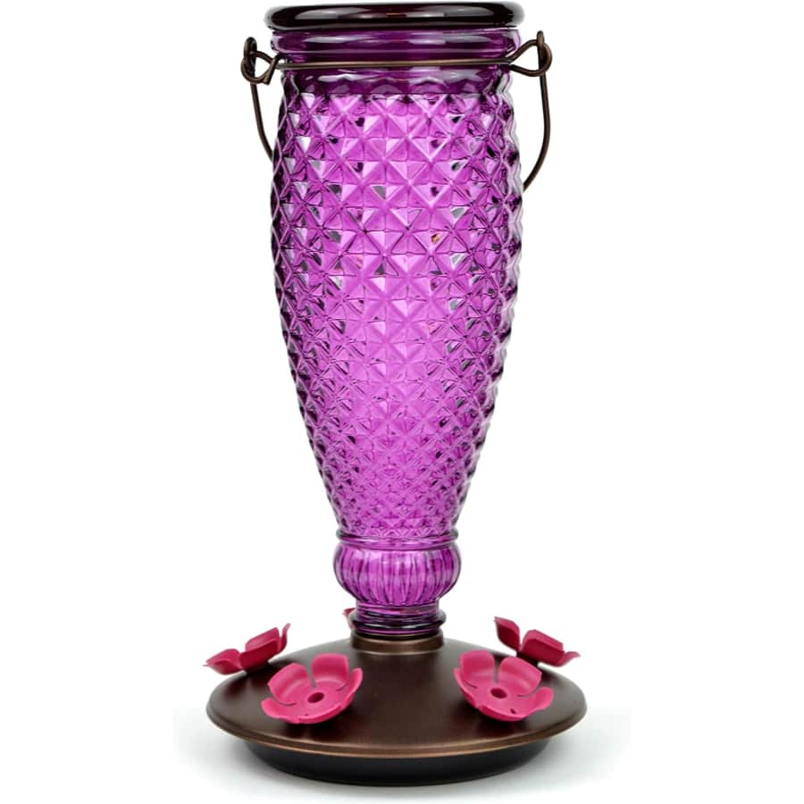 Perky-Pet Top Fill Glass Hummingbird Feeder for $20 Perky-Pet Top Fill Glass Hummingbird Feeder for $20