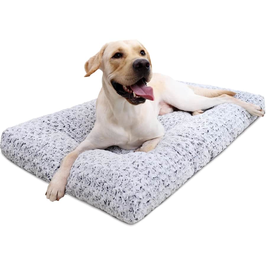 35" x 23" Plush Dog Bed for $22