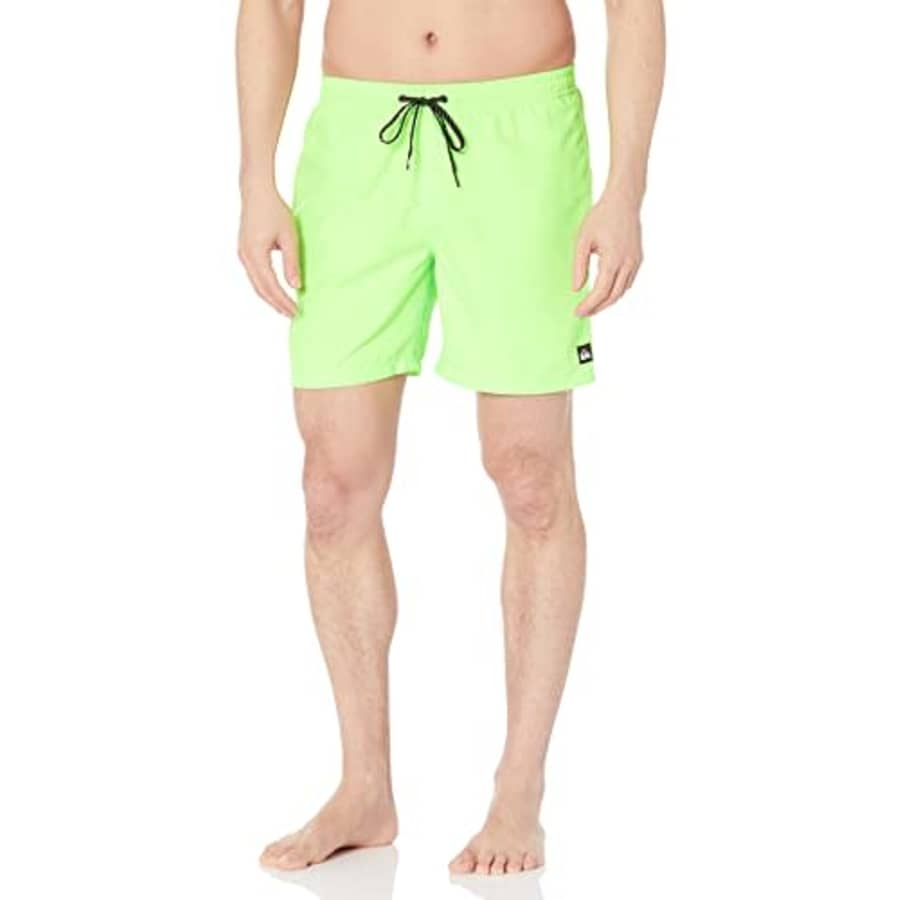 Quiksilver Men's Standard Everyday 17 Volley Swim Trunk Bathing Suit, Green Gecko, Small for $26