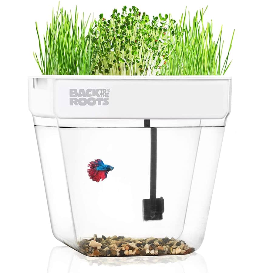 Back to the Roots Water Garden Mini Ecosystem for $53