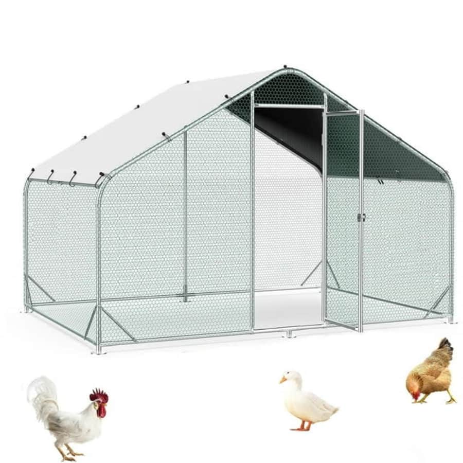 9.8-Foot Metal Chicken Coop for $140