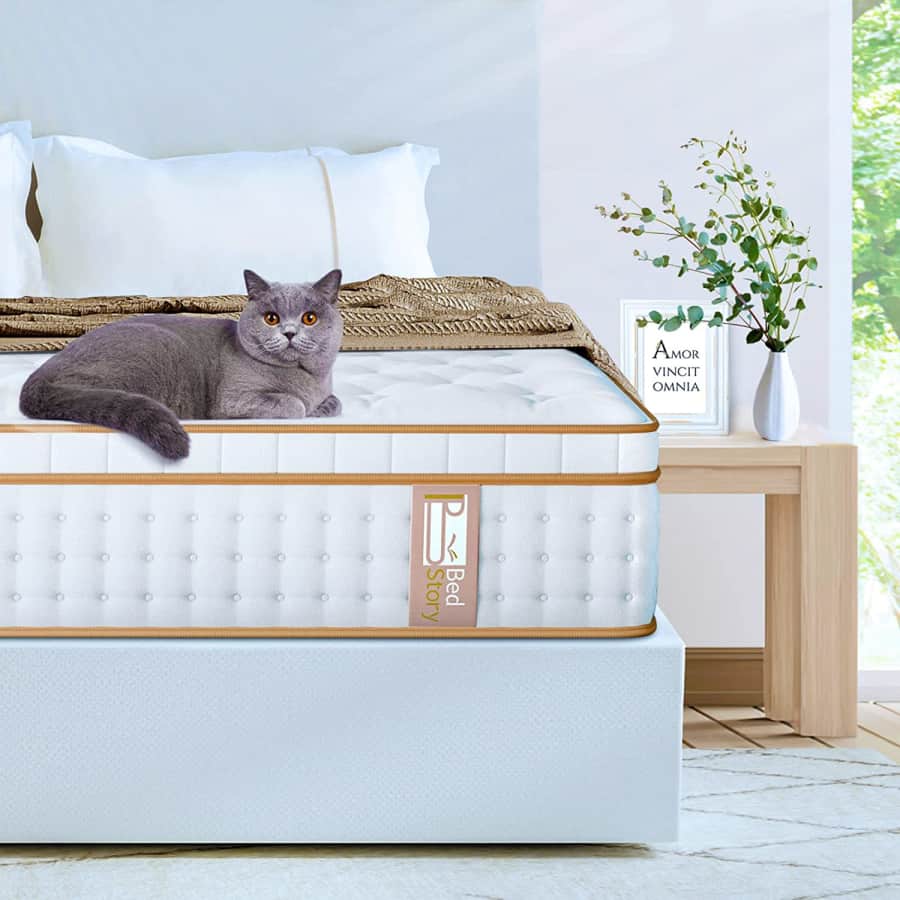 BedStory 14" Gel Memory Foam Queen Mattress for $556