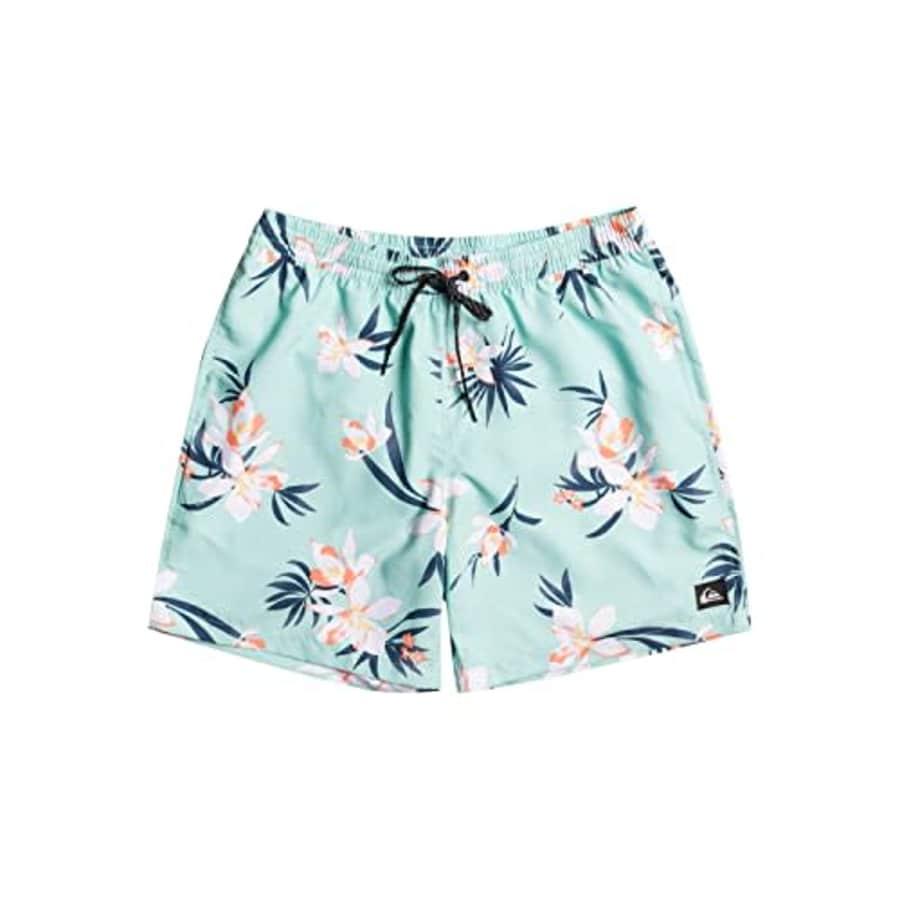 Quiksilver Men's Standard Everyday Mix 17 Volley Swim Trunk Boardshort, Beach Glass, Medium for $24