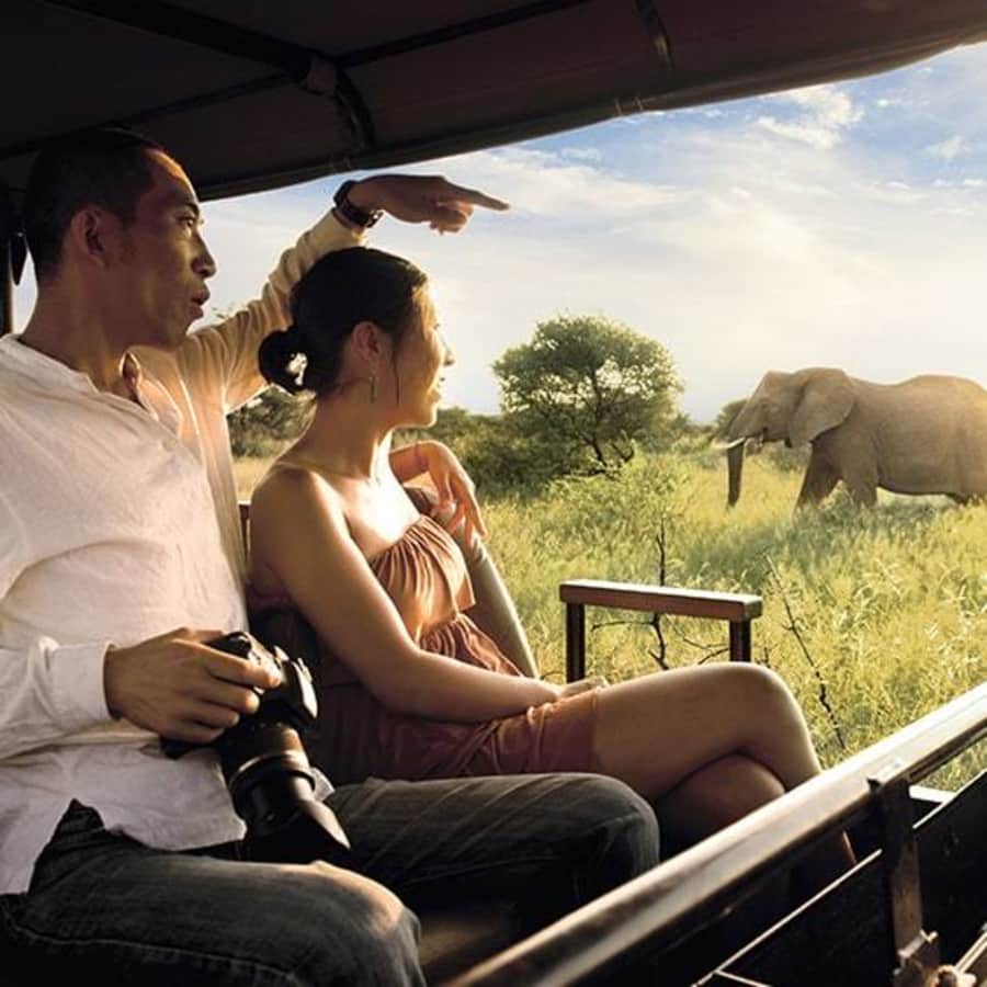 7-Night Luxe South Africa Flight, Hotel & Safari Vacation at Platinum Holidays: From $2,499 per person