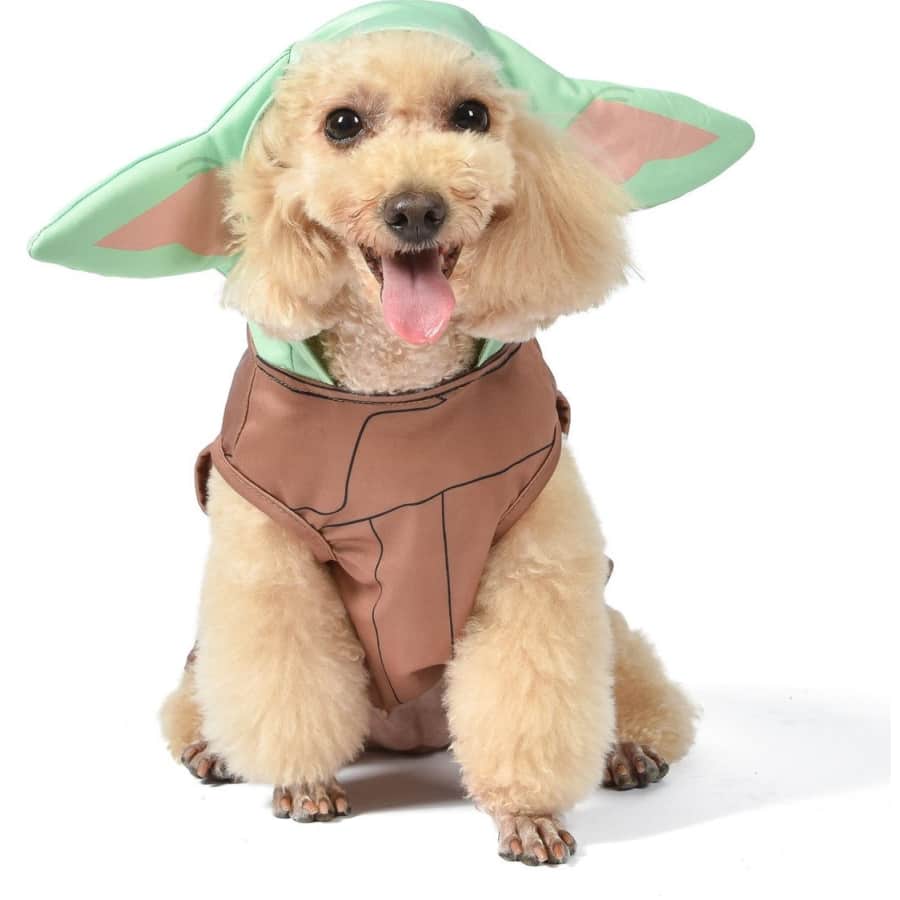 Star Wars Pet Toys at Chewy: from $3 Star Wars Pet Toys at Chewy: from $3