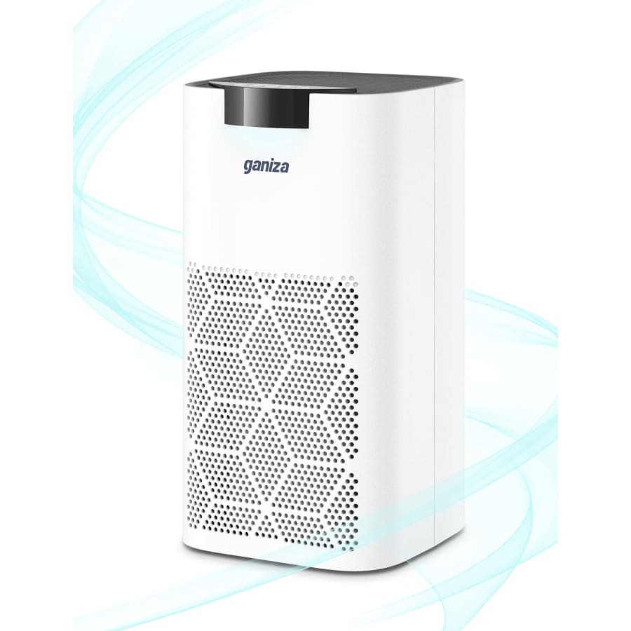 Ganiza True HEPA Filter Air Purifier for $99 Ganiza True HEPA Filter Air Purifier for $99
